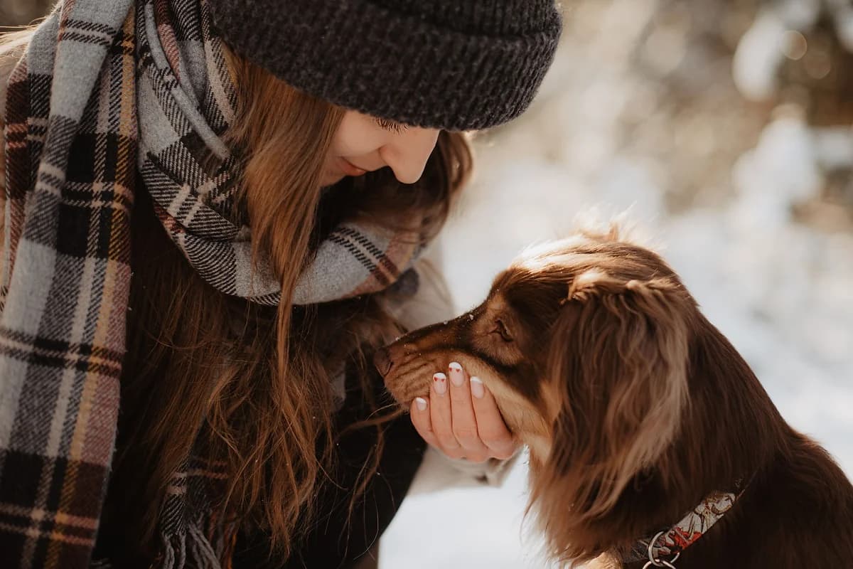 Dog Training in Hampton Bays